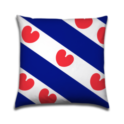 Buitenkussen Friesland Friese Vlag