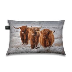 Warmtekussen-drie-schotse-hooglanders