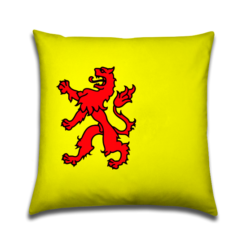provinciekussen Zuid Holland